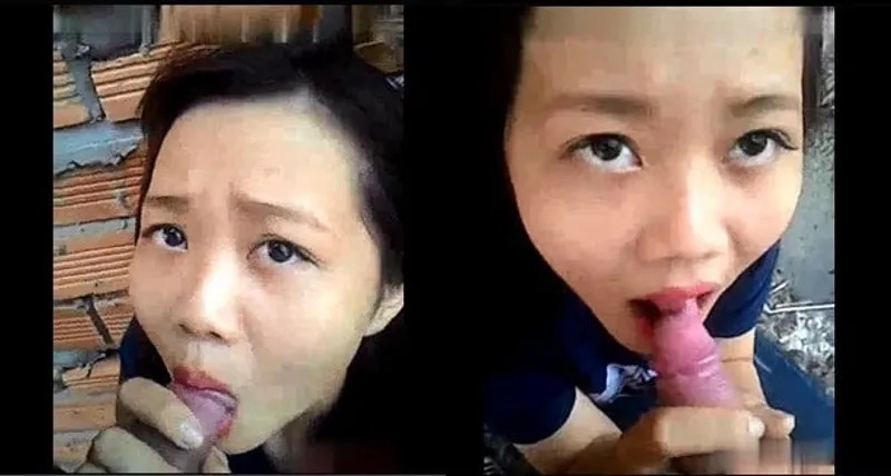 Bồ bú chim ở vườn sau nhà